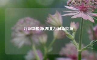 万润新能源,湖北万润新能源