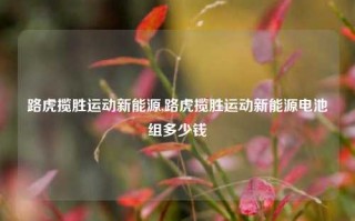 路虎揽胜运动新能源,路虎揽胜运动新能源电池组多少钱