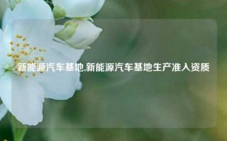 新能源汽车基地,新能源汽车基地生产准入资质