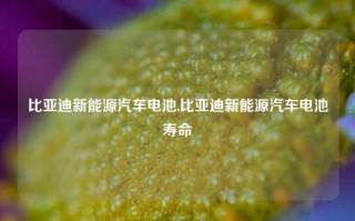 比亚迪新能源汽车电池,比亚迪新能源汽车电池寿命