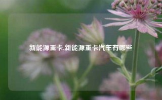 新能源重卡,新能源重卡汽车有哪些