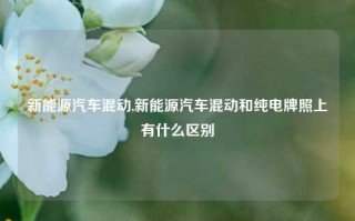 新能源汽车混动,新能源汽车混动和纯电牌照上有什么区别