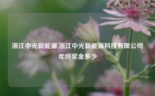 浙江中光新能源,浙江中光新能源科技有限公司年终奖金多少