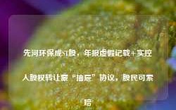 先河环保成ST股，年报虚假记载+实控人股权转让藏“抽屉”协议，股民可索赔