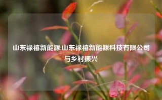 山东禄禧新能源,山东禄禧新能源科技有限公司与乡村振兴