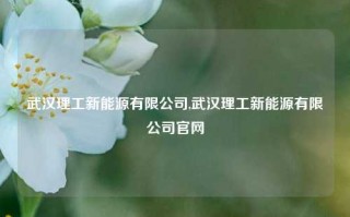 武汉理工新能源有限公司,武汉理工新能源有限公司官网