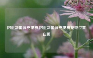 附近新能源充电桩,附近新能源充电桩充电位置在哪