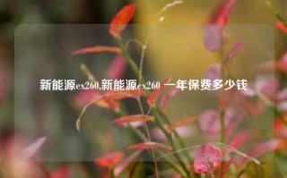 新能源ex260,新能源ex260 一年保费多少钱