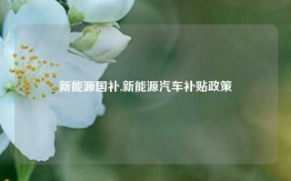 新能源国补,新能源汽车补贴政策