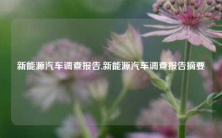 新能源汽车调查报告,新能源汽车调查报告摘要