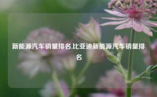 新能源汽车销量排名,比亚迪新能源汽车销量排名