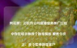 同花顺：云软件公司直播业务推广过程中存在暗示推荐个股等情形 被责令改正、责令暂停新增客户