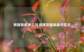 银隆新能源公司,银隆新能源最大谎言