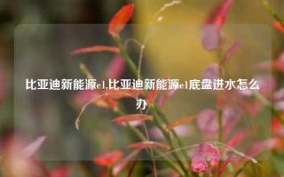 比亚迪新能源e1,比亚迪新能源e1底盘进水怎么办