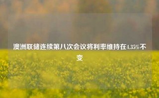 澳洲联储连续第八次会议将利率维持在4.35%不变