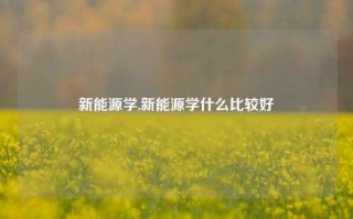 新能源学,新能源学什么比较好