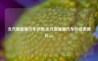 北汽新能源汽车价格,北汽新能源汽车价格表图片eu5