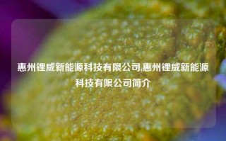 惠州锂威新能源科技有限公司,惠州锂威新能源科技有限公司简介