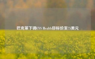 巴克莱下调CVS Health目标价至75美元