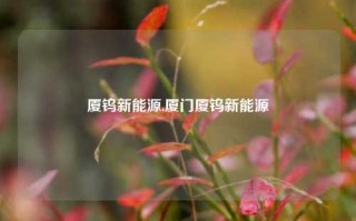 厦钨新能源,厦门厦钨新能源