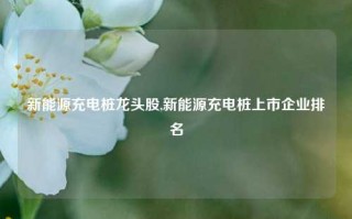 新能源充电桩龙头股,新能源充电桩上市企业排名