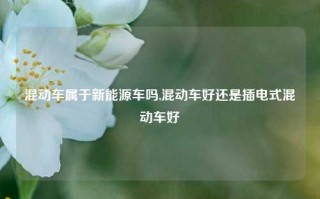 混动车属于新能源车吗,混动车好还是插电式混动车好