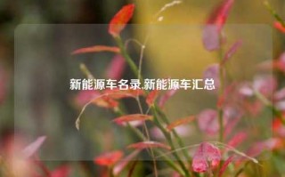 新能源车名录,新能源车汇总