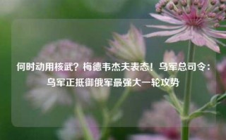 何时动用核武？梅德韦杰夫表态！乌军总司令：乌军正抵御俄军最强大一轮攻势