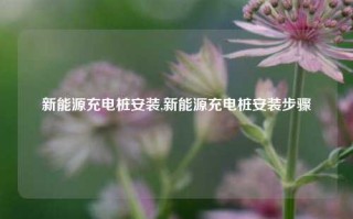 新能源充电桩安装,新能源充电桩安装步骤