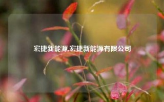 宏捷新能源,宏捷新能源有限公司