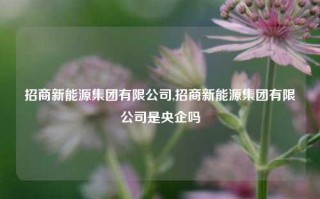 招商新能源集团有限公司,招商新能源集团有限公司是央企吗