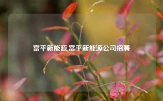 富平新能源,富平新能源公司招聘