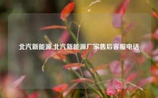 北汽新能源,北汽新能源厂家售后客服电话