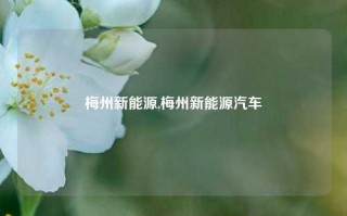 梅州新能源,梅州新能源汽车