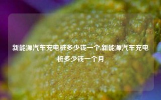 新能源汽车充电桩多少钱一个,新能源汽车充电桩多少钱一个月