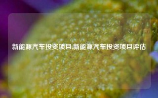 新能源汽车投资项目,新能源汽车投资项目评估