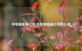 华电新能源公司,华电新能源公司怎么样