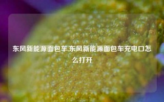 东风新能源面包车,东风新能源面包车充电口怎么打开