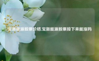 宝新能源股票价格,宝新能源股票接下来能涨吗