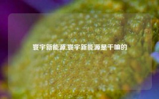 寰宇新能源,寰宇新能源是干嘛的