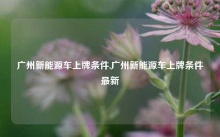 广州新能源车上牌条件,广州新能源车上牌条件最新