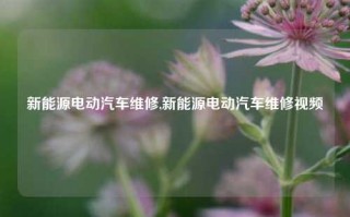 新能源电动汽车维修,新能源电动汽车维修视频