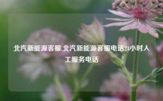 北汽新能源客服,北汽新能源客服电话24小时人工服务电话