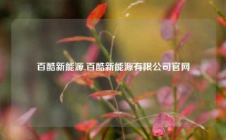 百酷新能源,百酷新能源有限公司官网