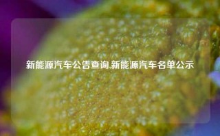 新能源汽车公告查询,新能源汽车名单公示