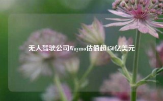 无人驾驶公司Waymo估值超450亿美元