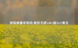 快验保盘中异动 股价大跌5.08%报18.87美元