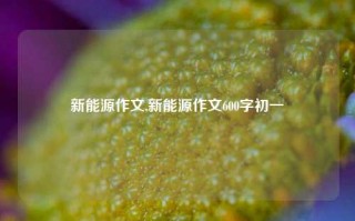 新能源作文,新能源作文600字初一