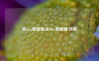 宋max新能源,宋Max新能源 改版