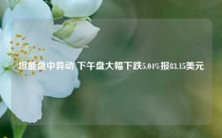 坦能盘中异动 下午盘大幅下跌5.04%报83.15美元